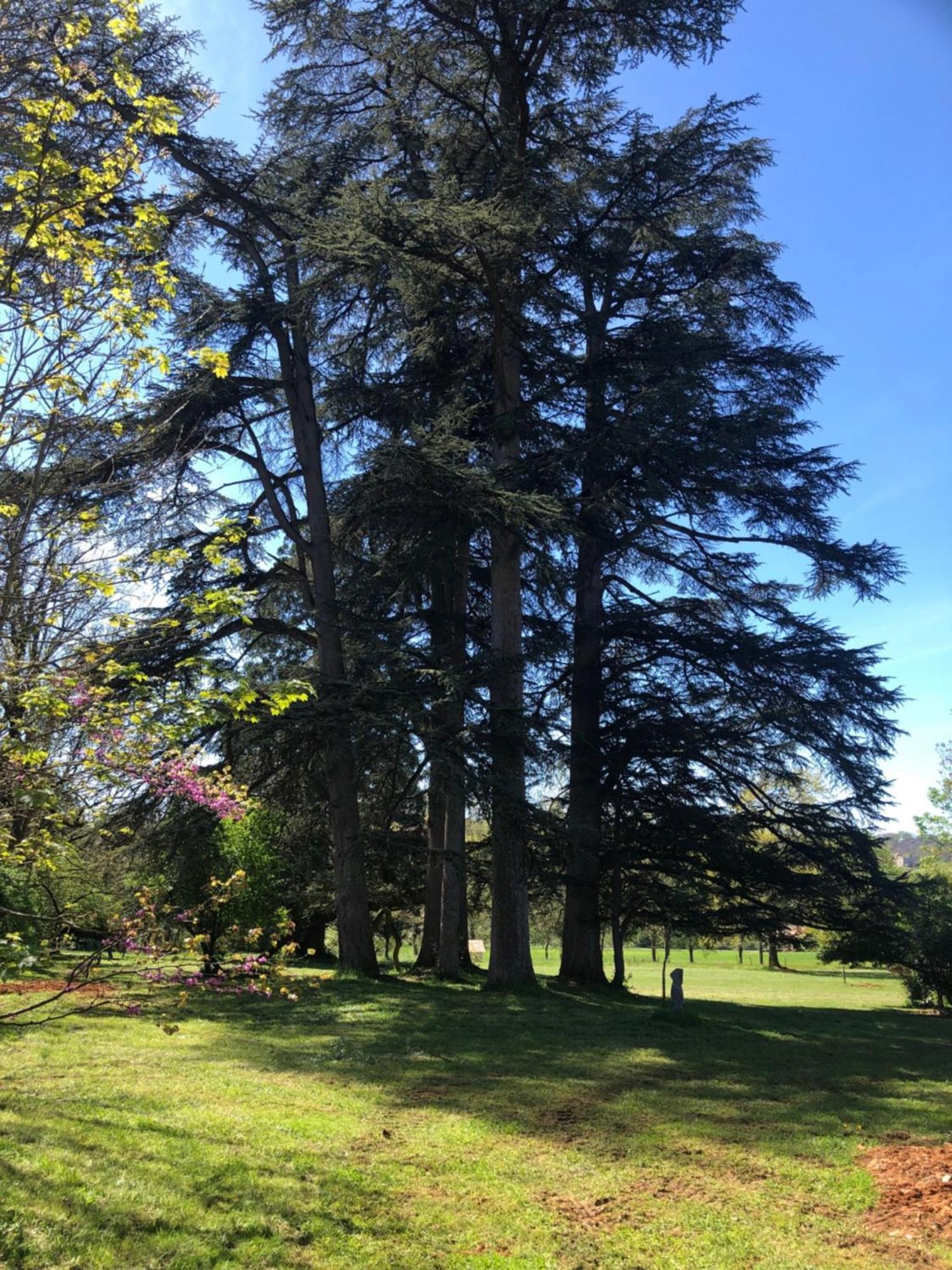 Chateau De Puymoger Bed & Breakfast Javerlhac-et-la-Chapelle-Saint-Robert Bagian luar foto